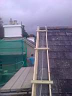 wierhouse 3620.jpg